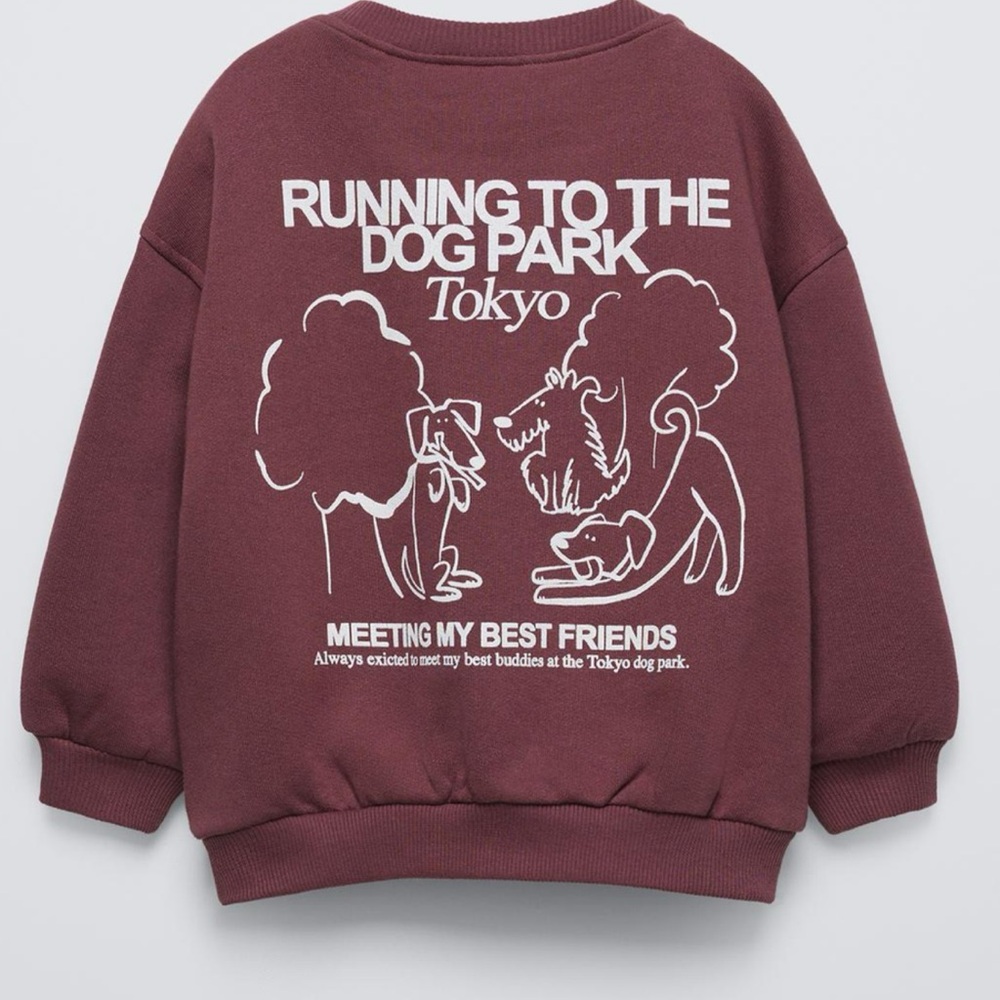 Zara Running to the Dog Park Sweatshirt - Maroon